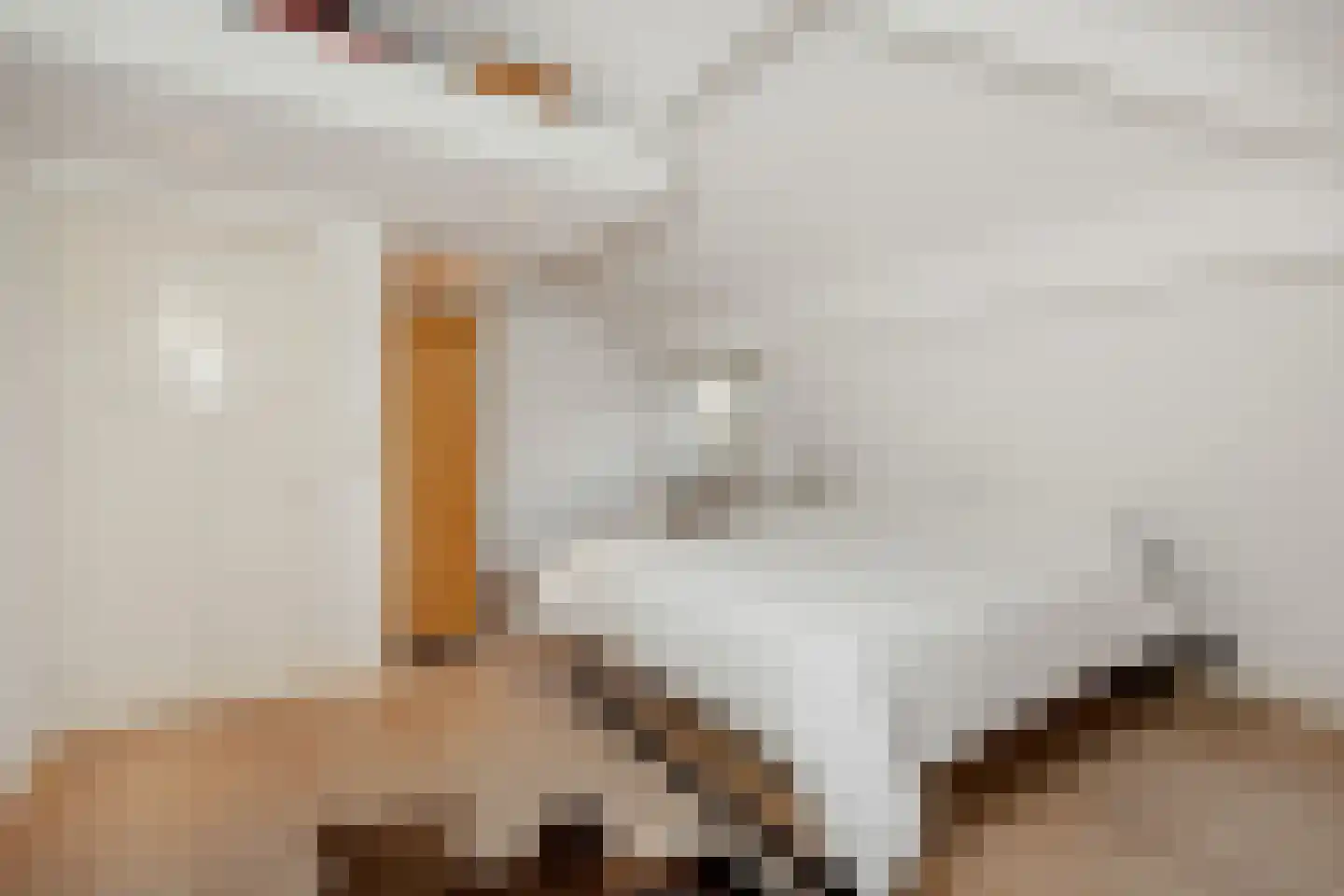 Koppelstraat 7 Beek en Donk thumbnail 44