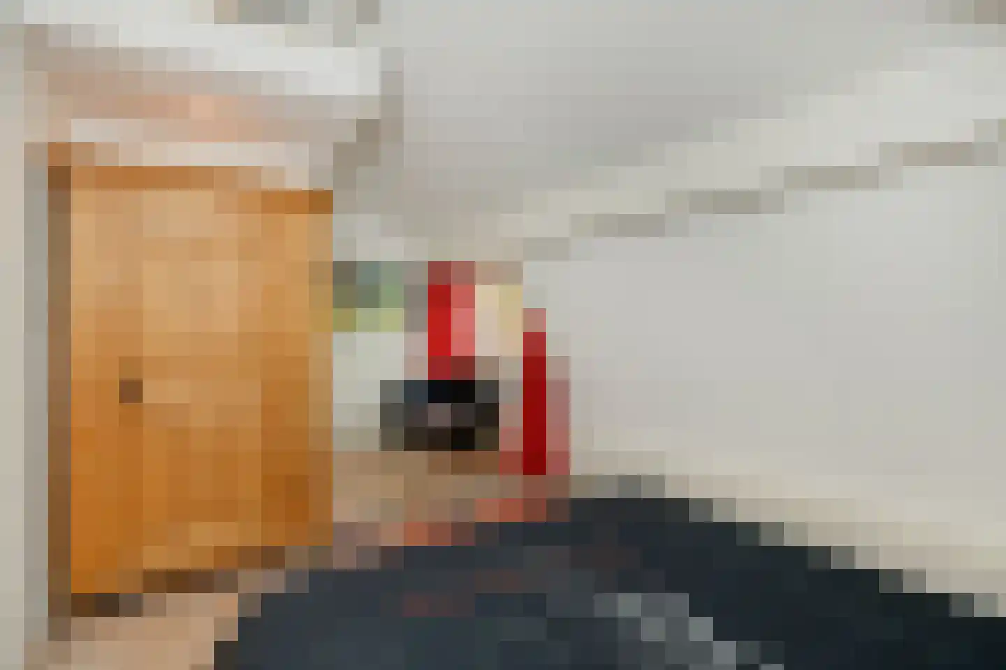Koppelstraat 7 Beek en Donk thumbnail 53