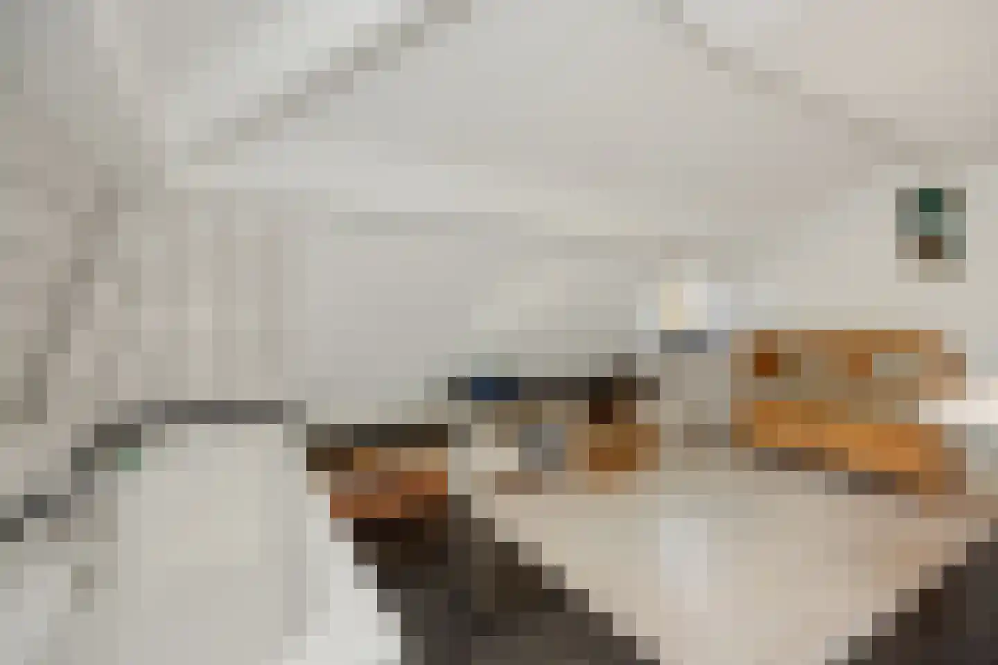 Koppelstraat 7 Beek en Donk thumbnail 56