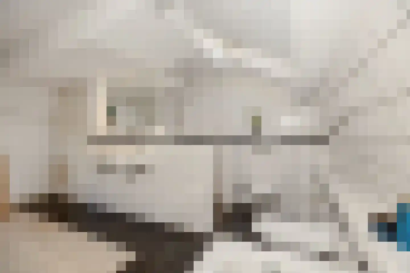 Koppelstraat 7 Beek en Donk thumbnail 57