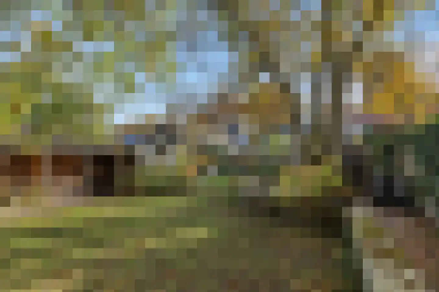 Koppelstraat 7 Beek en Donk thumbnail 58