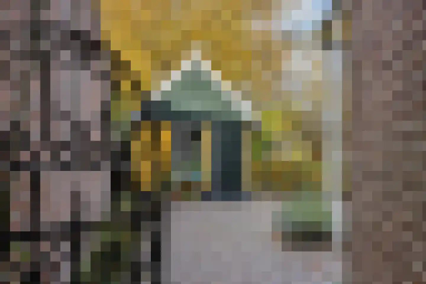 Koppelstraat 7 Beek en Donk thumbnail 67