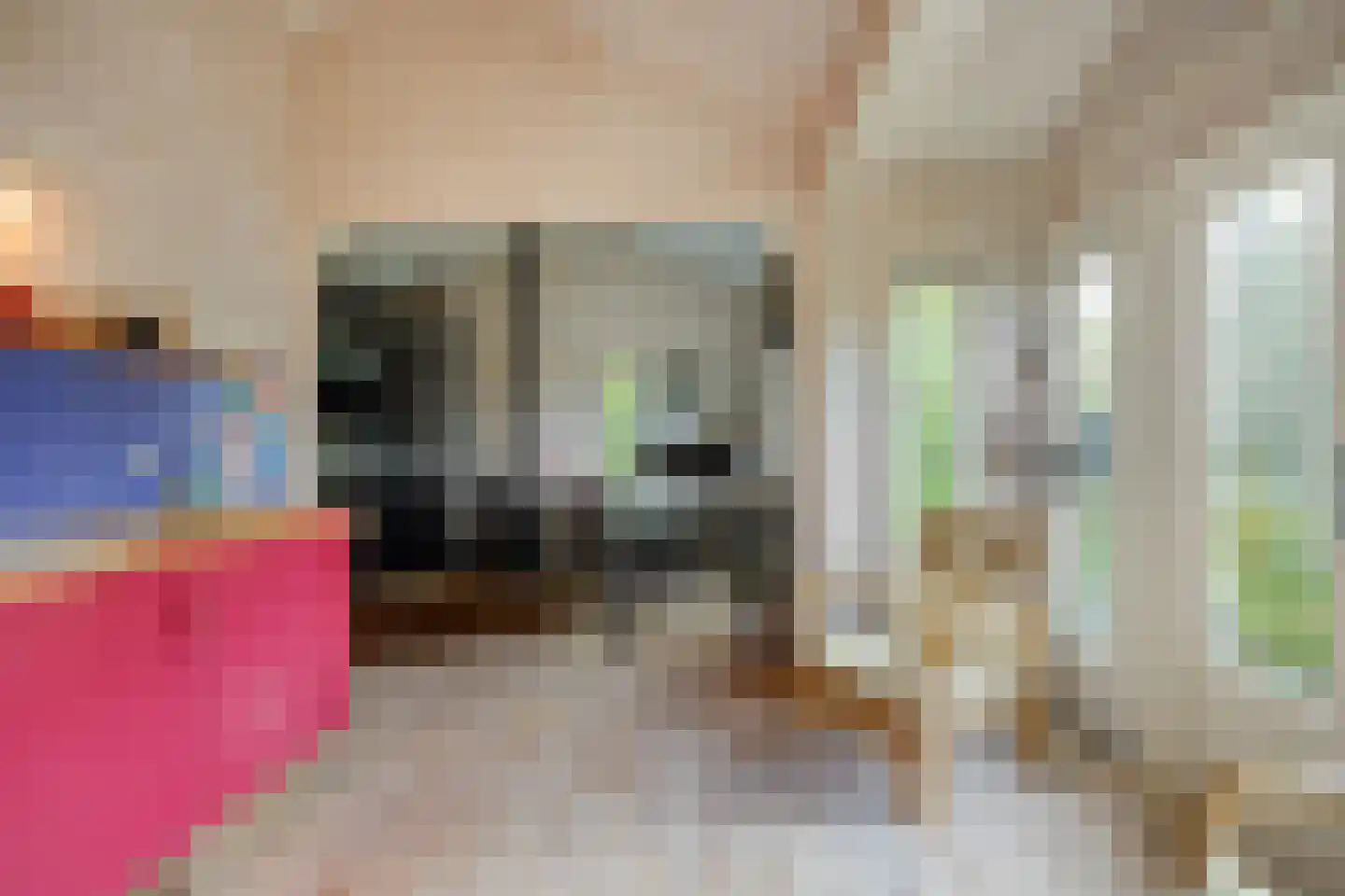 Koppelstraat 7 Beek en Donk thumbnail 76