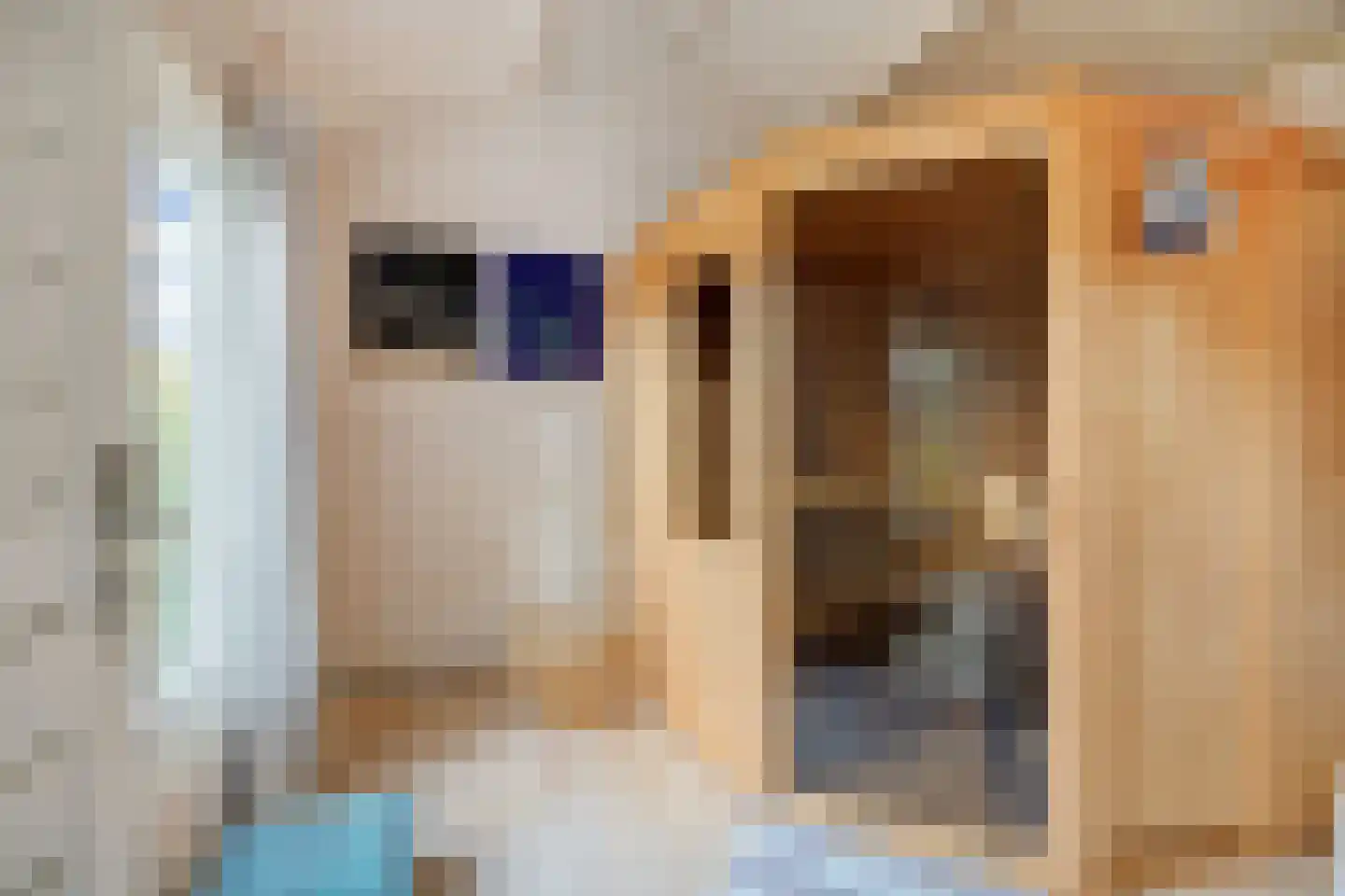 Koppelstraat 7 Beek en Donk thumbnail 78