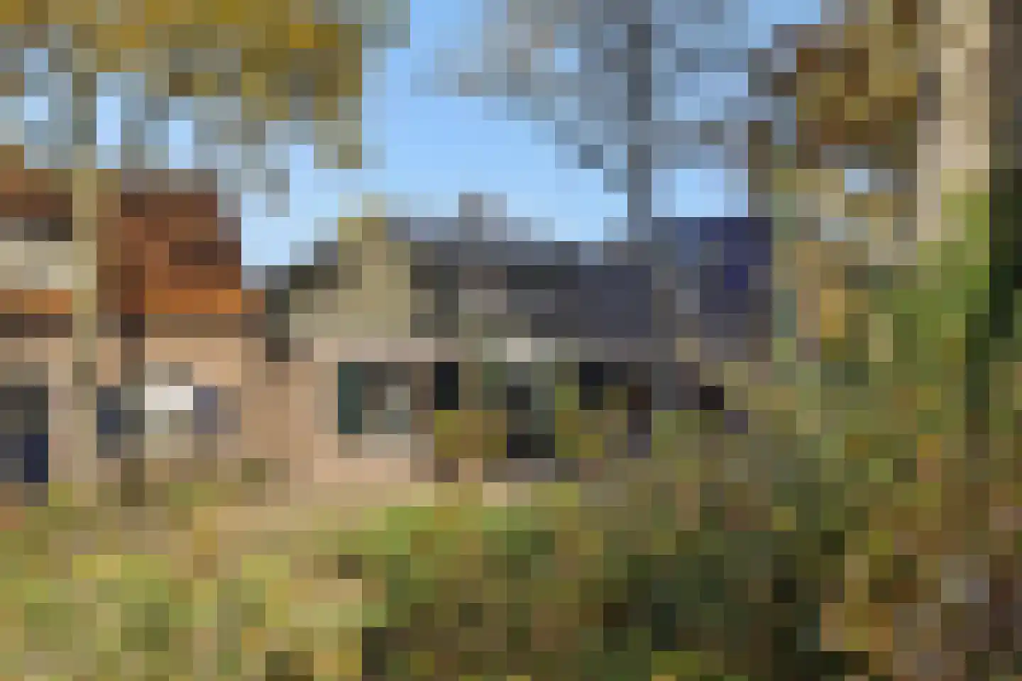 Koppelstraat 7 Beek en Donk thumbnail 8