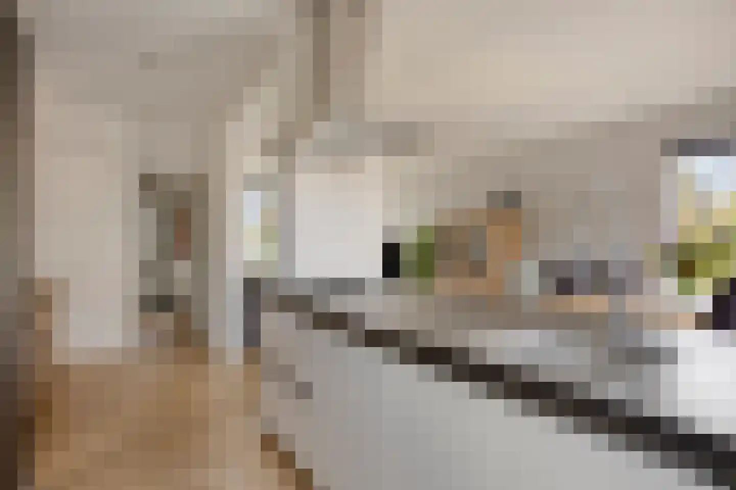 Koppelweg 1 Doesburg thumbnail 14