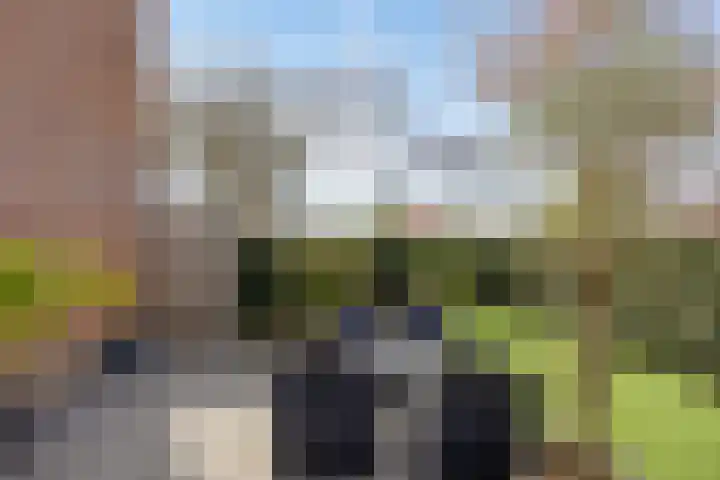Koppelweg 1 Doesburg thumbnail 37