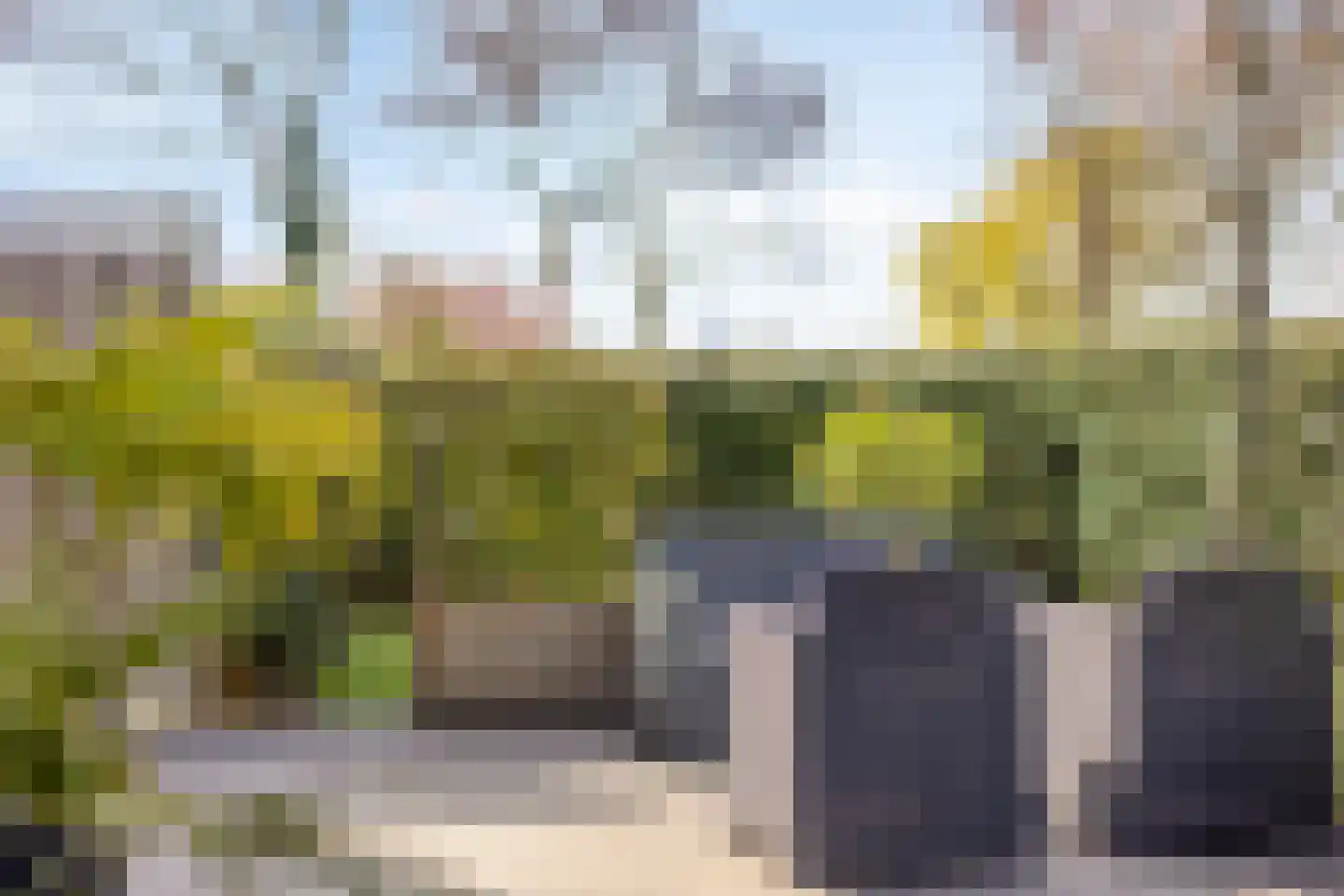 Koppelweg 1 Doesburg thumbnail 40