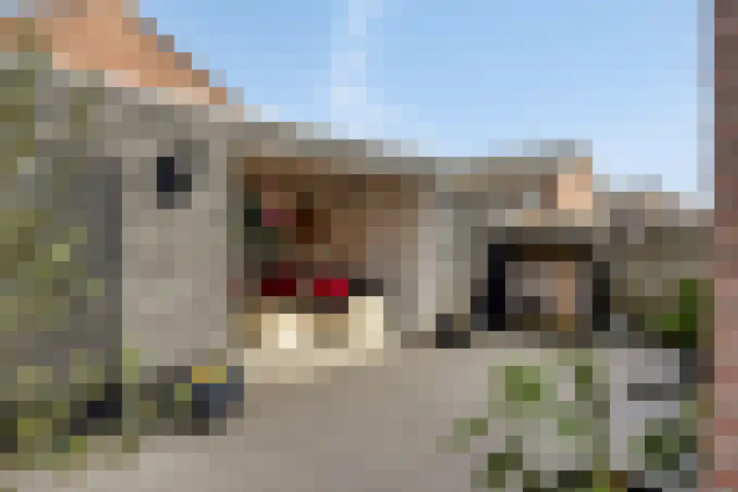 Koppelweg 1 Doesburg thumbnail 42