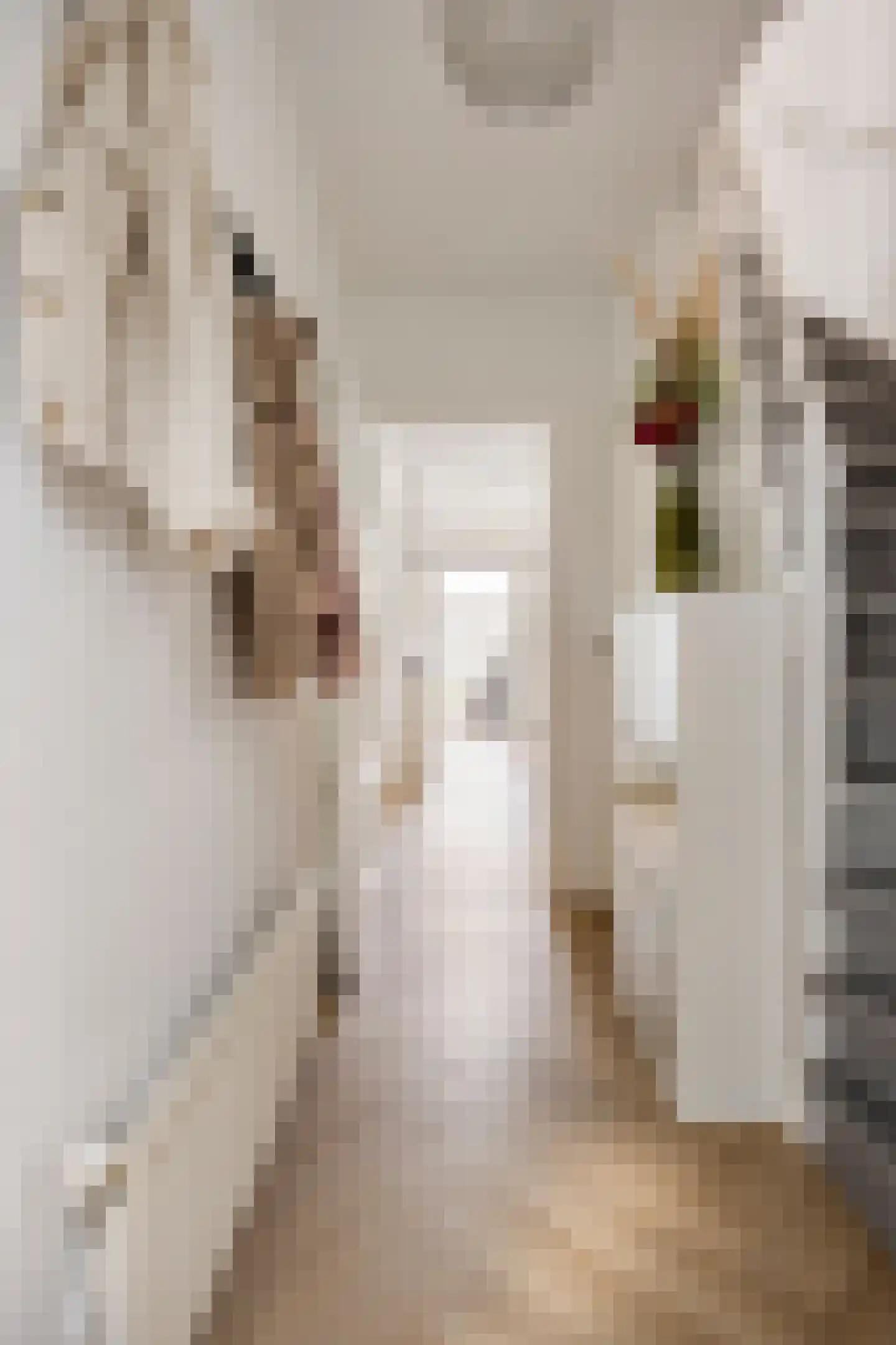 Koppelweg 1 Doesburg thumbnail 7
