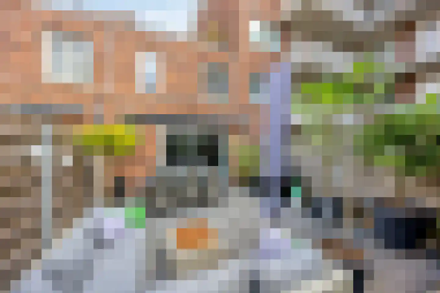 Koppelweg 170 Amersfoort thumbnail 28
