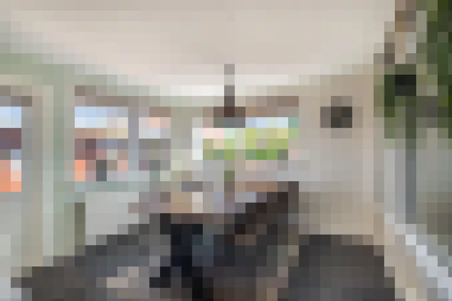 Koppelweg 35 Doesburg thumbnail 12