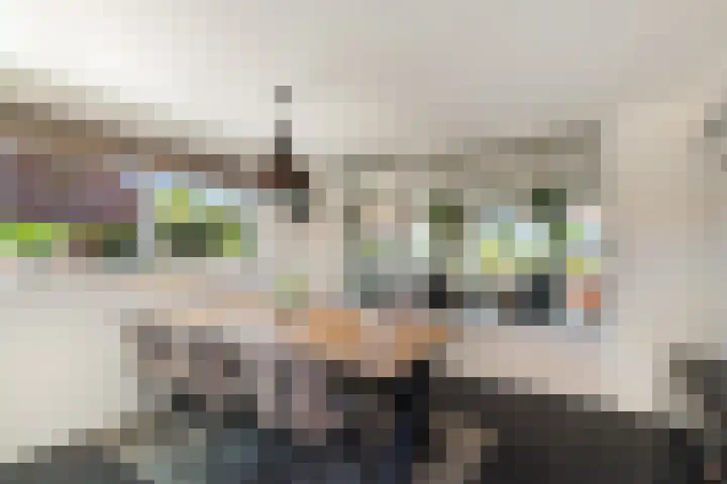Koppelweg 35 Doesburg thumbnail 13