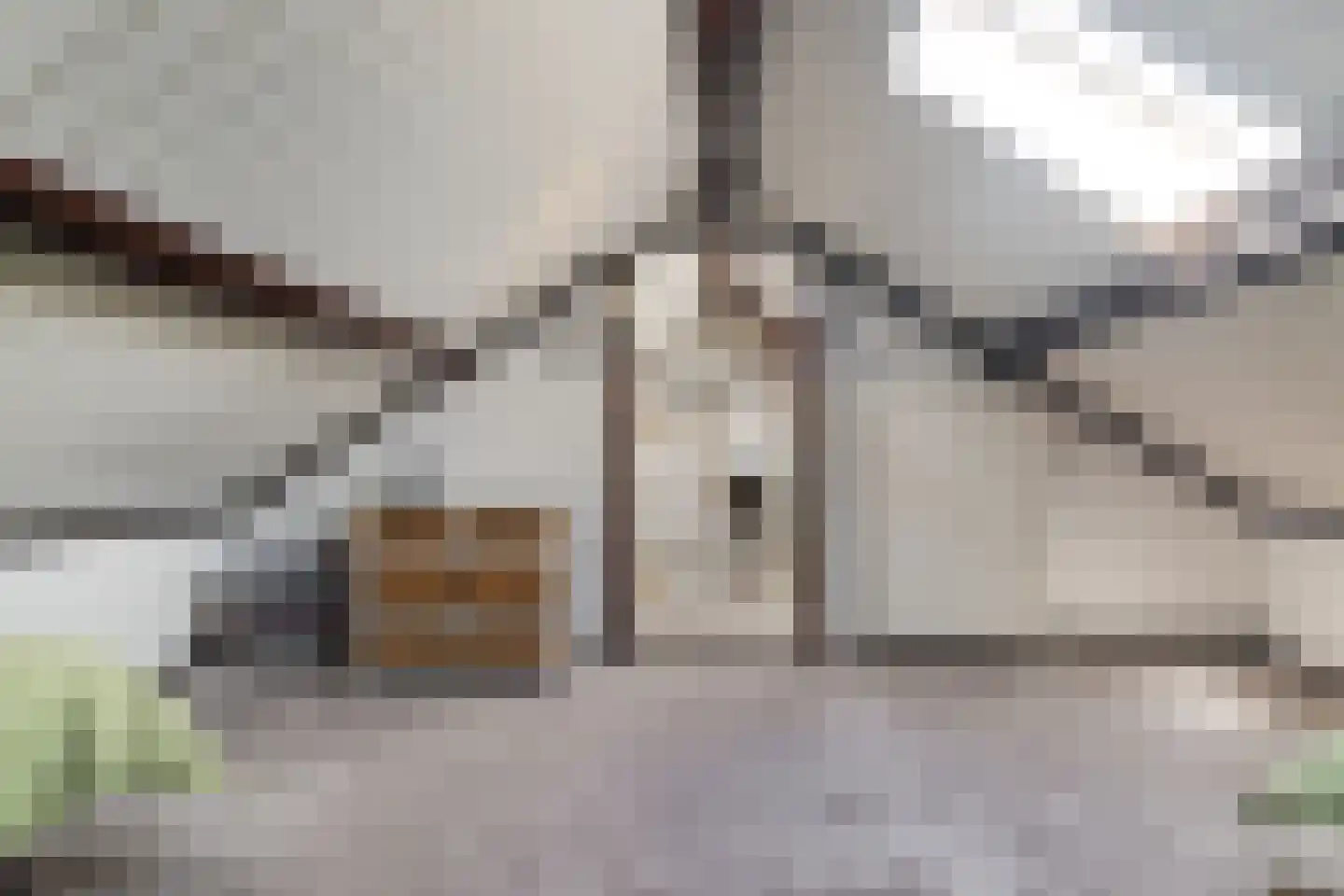 Koppelweg 35 Doesburg thumbnail 33