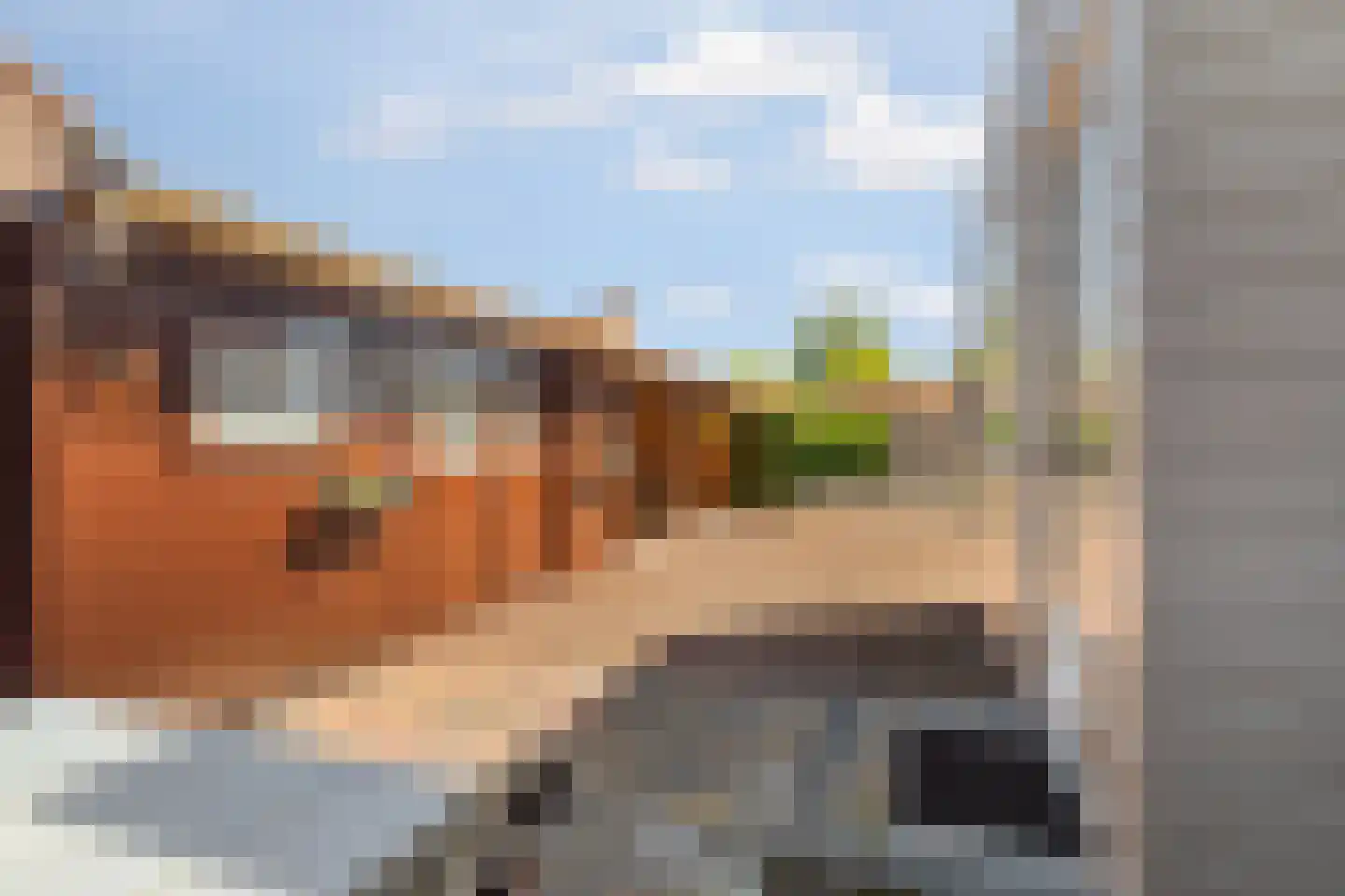 Koppelweg 35 Doesburg thumbnail 35