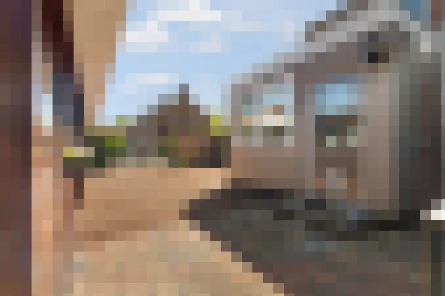 Koppelweg 35 Doesburg thumbnail 37