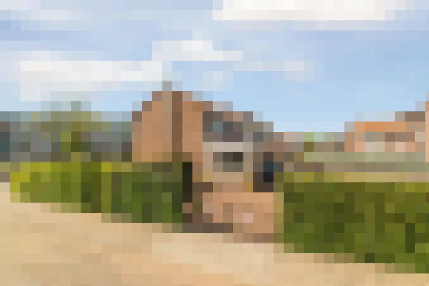 Koppelweg 35 Doesburg thumbnail 47