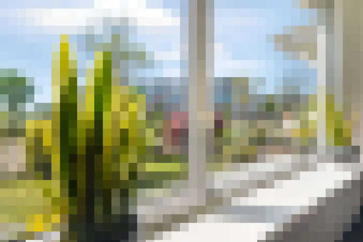 Koppelweg 35 Doesburg thumbnail 5