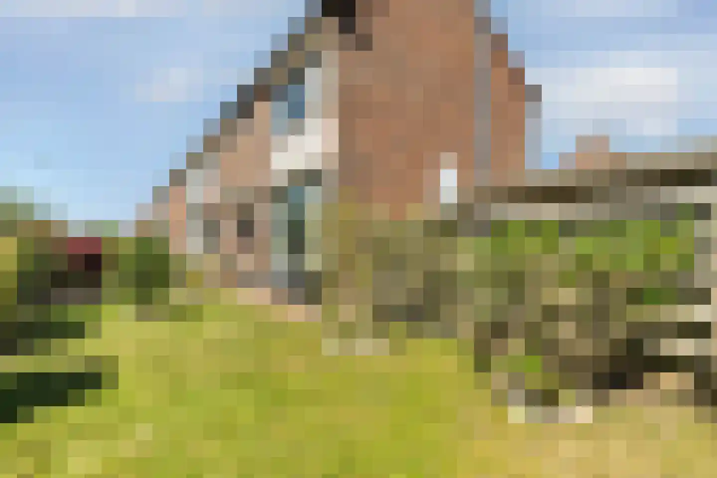 Koppelweg 35 Doesburg thumbnail 50