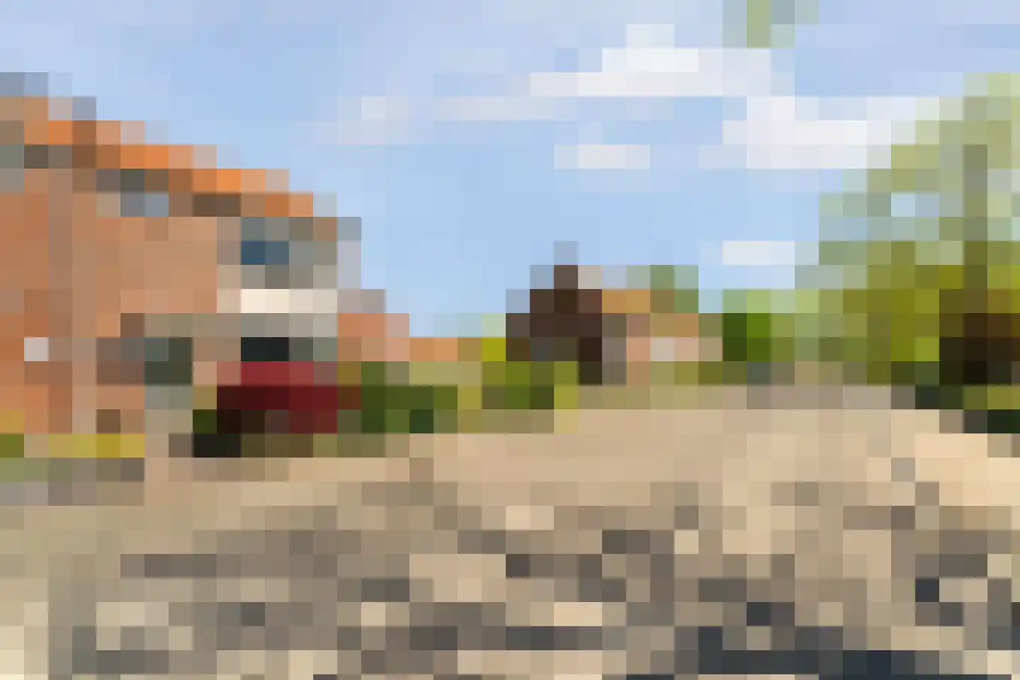 Koppelweg 35 Doesburg thumbnail 51