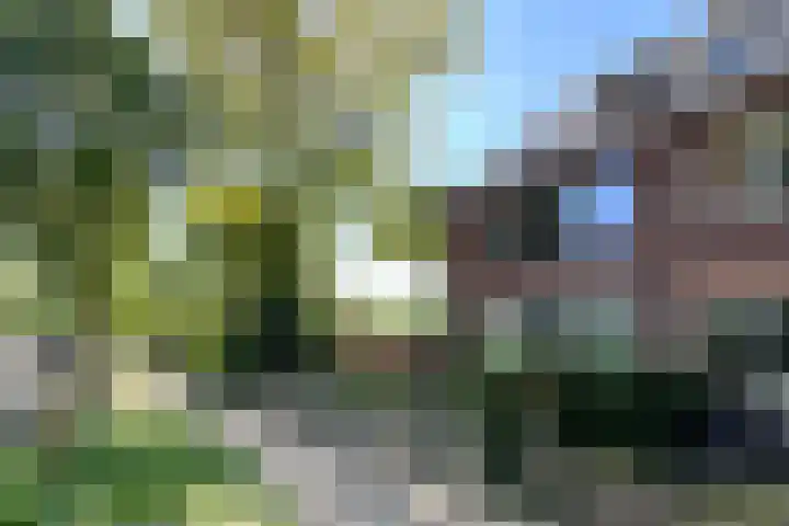 Koppelweg 50 A Zeist thumbnail 25