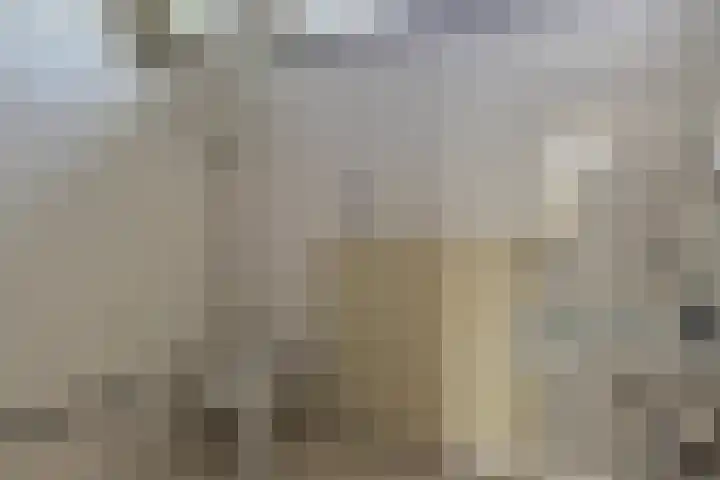 Koppelweg 6 Huizen thumbnail 11