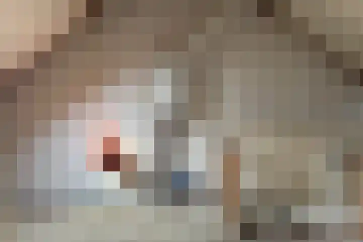 Koppelweg 6 Huizen thumbnail 13