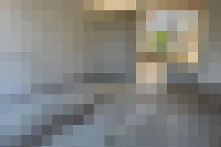 Koppelweg 6 Huizen thumbnail 5