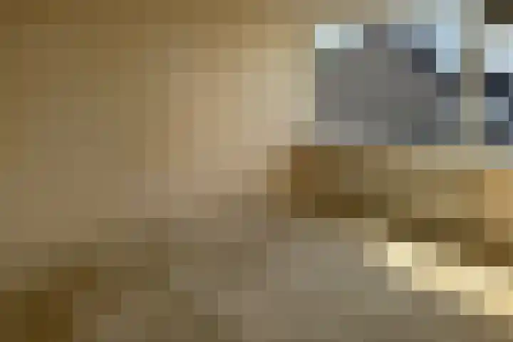 Koppelweg 6 Huizen thumbnail 9