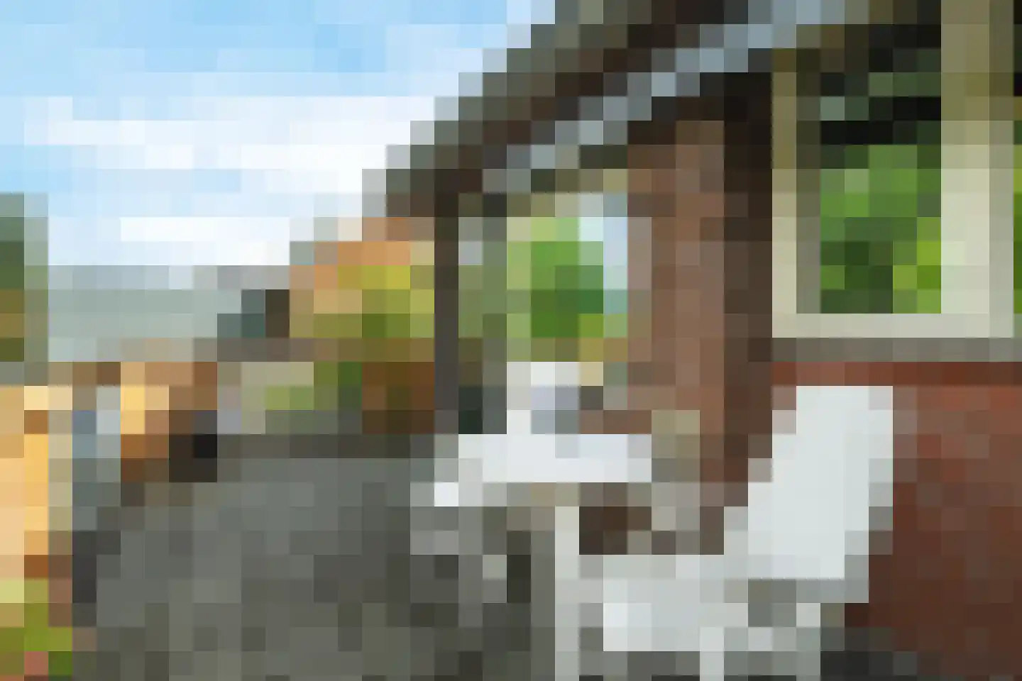 Koppelweg 68 Zeist thumbnail 21