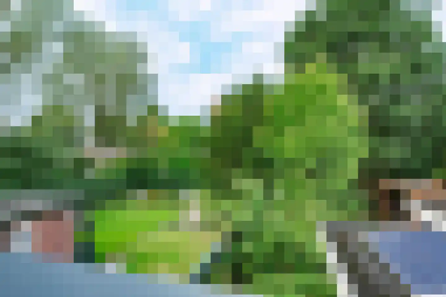 Koppelweg 68 Zeist thumbnail 22
