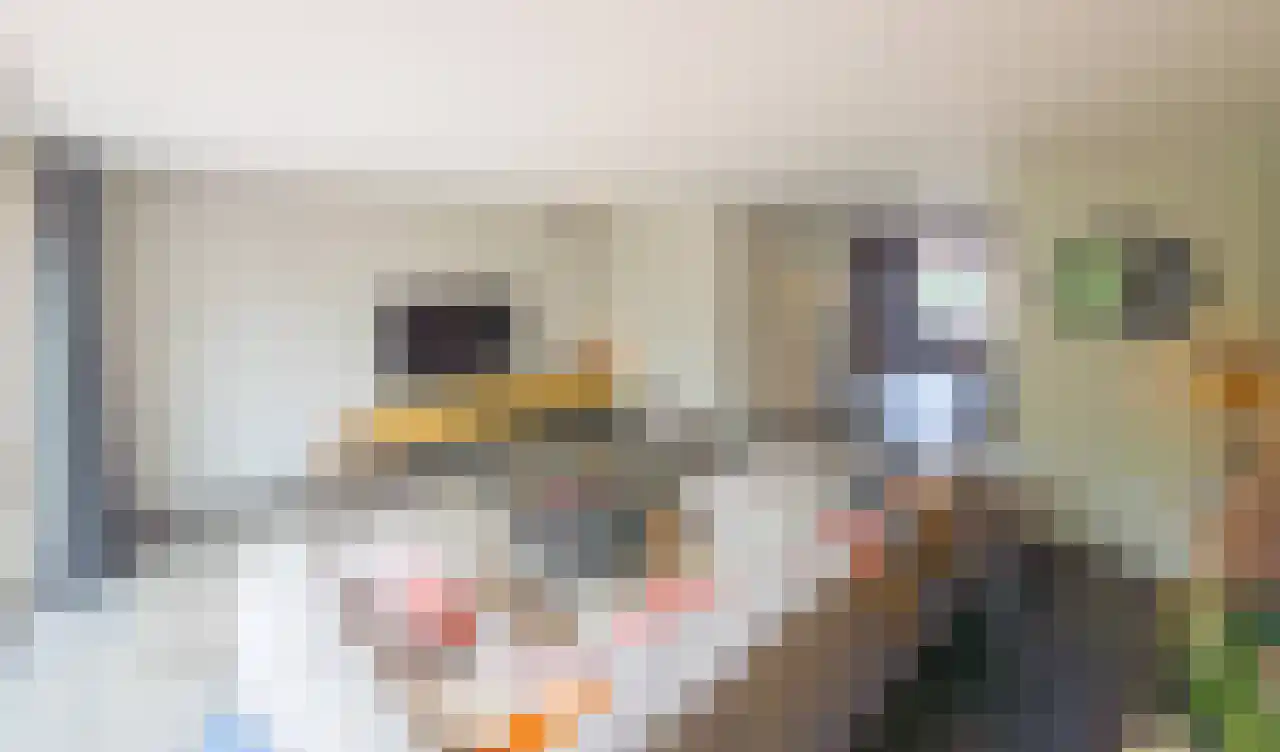 Koppelweide 7 Herten thumbnail 15