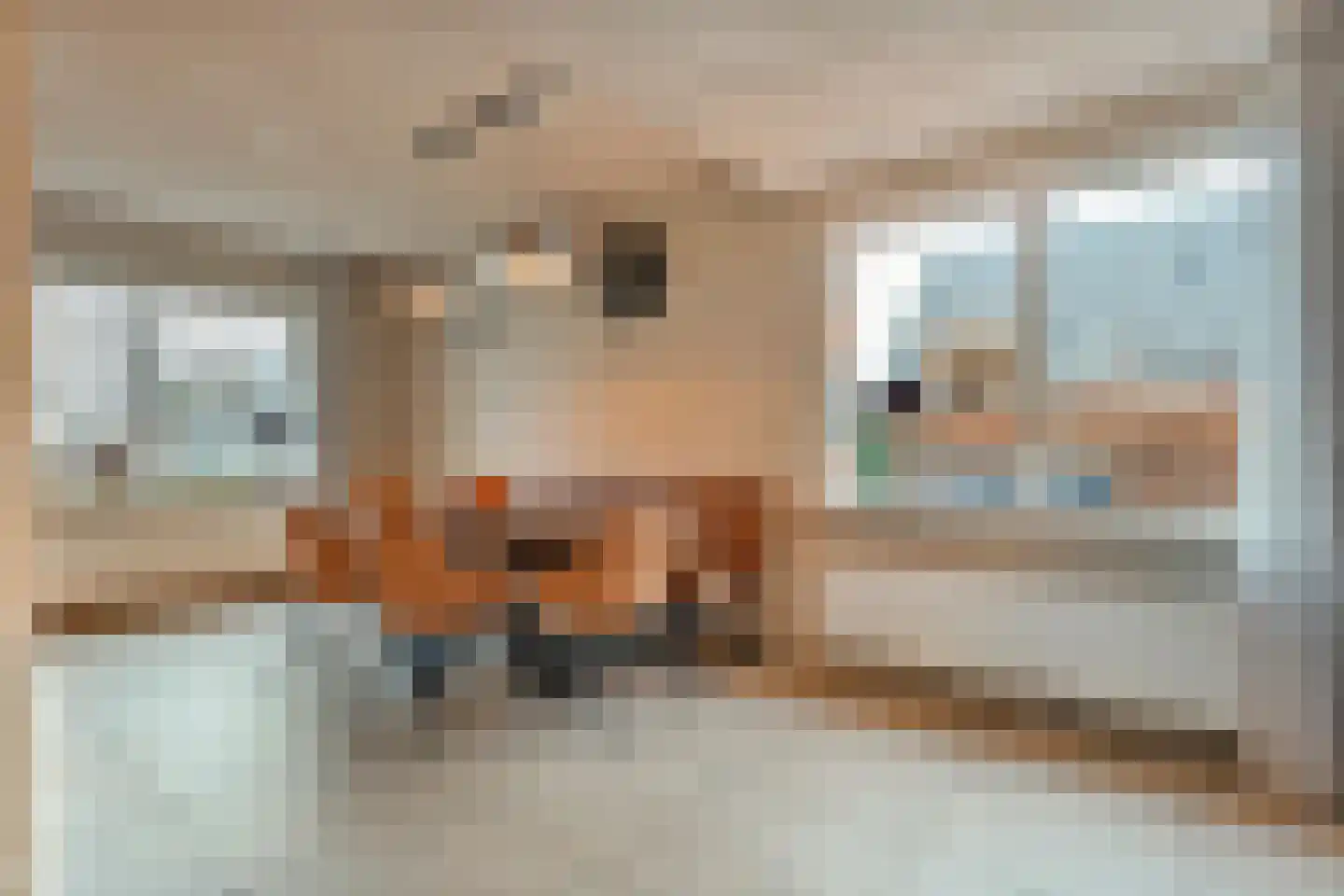 Koppelwijk OZ 10 Emmer-Compascuum thumbnail 11