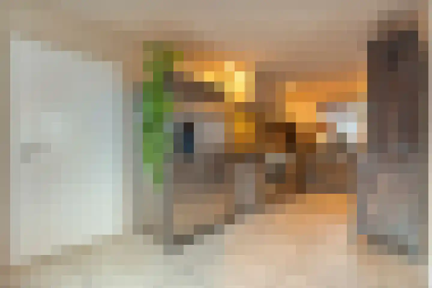 Koppelwijk OZ 10 Emmer-Compascuum thumbnail 12