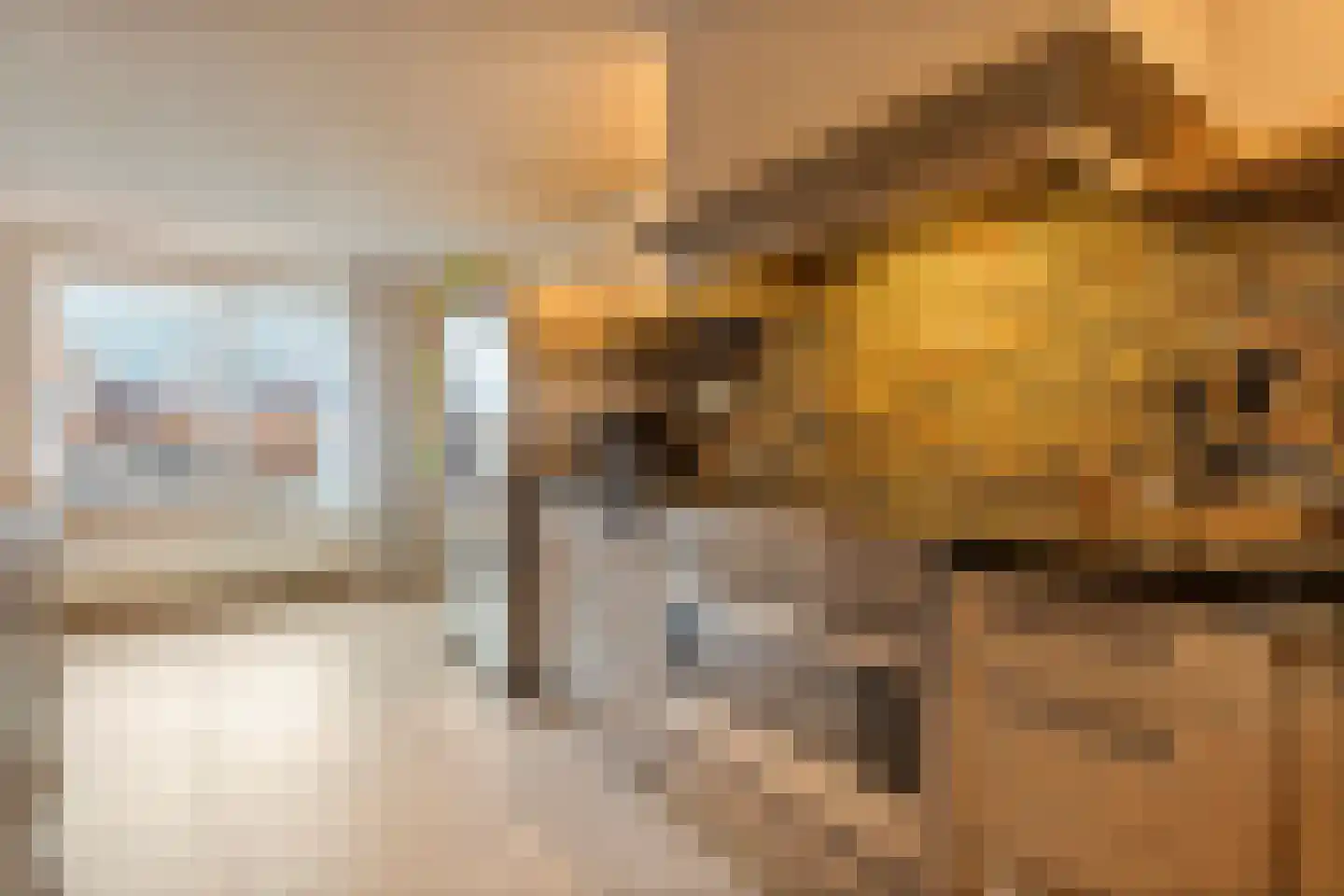 Koppelwijk OZ 10 Emmer-Compascuum thumbnail 14