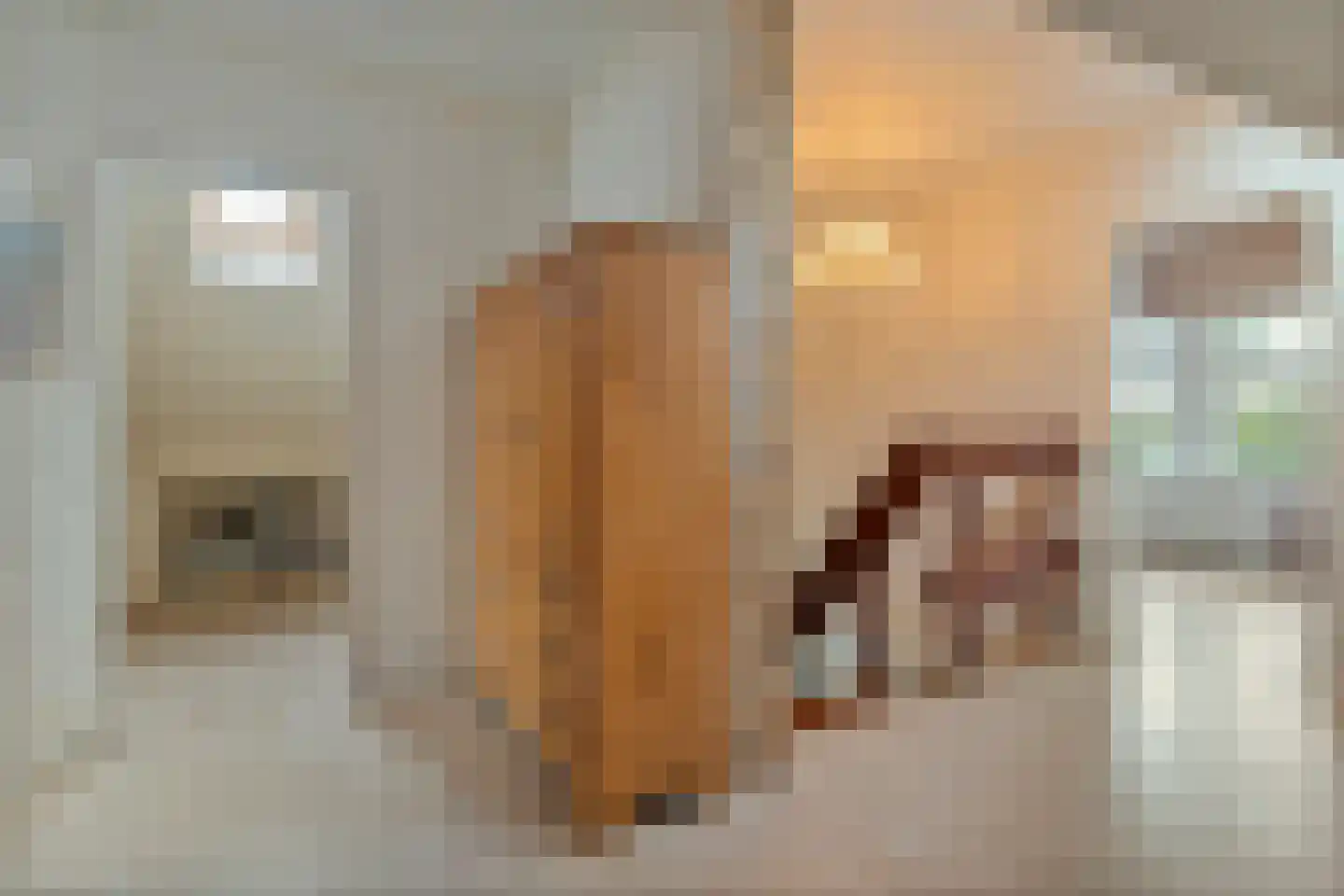 Koppelwijk OZ 10 Emmer-Compascuum thumbnail 26