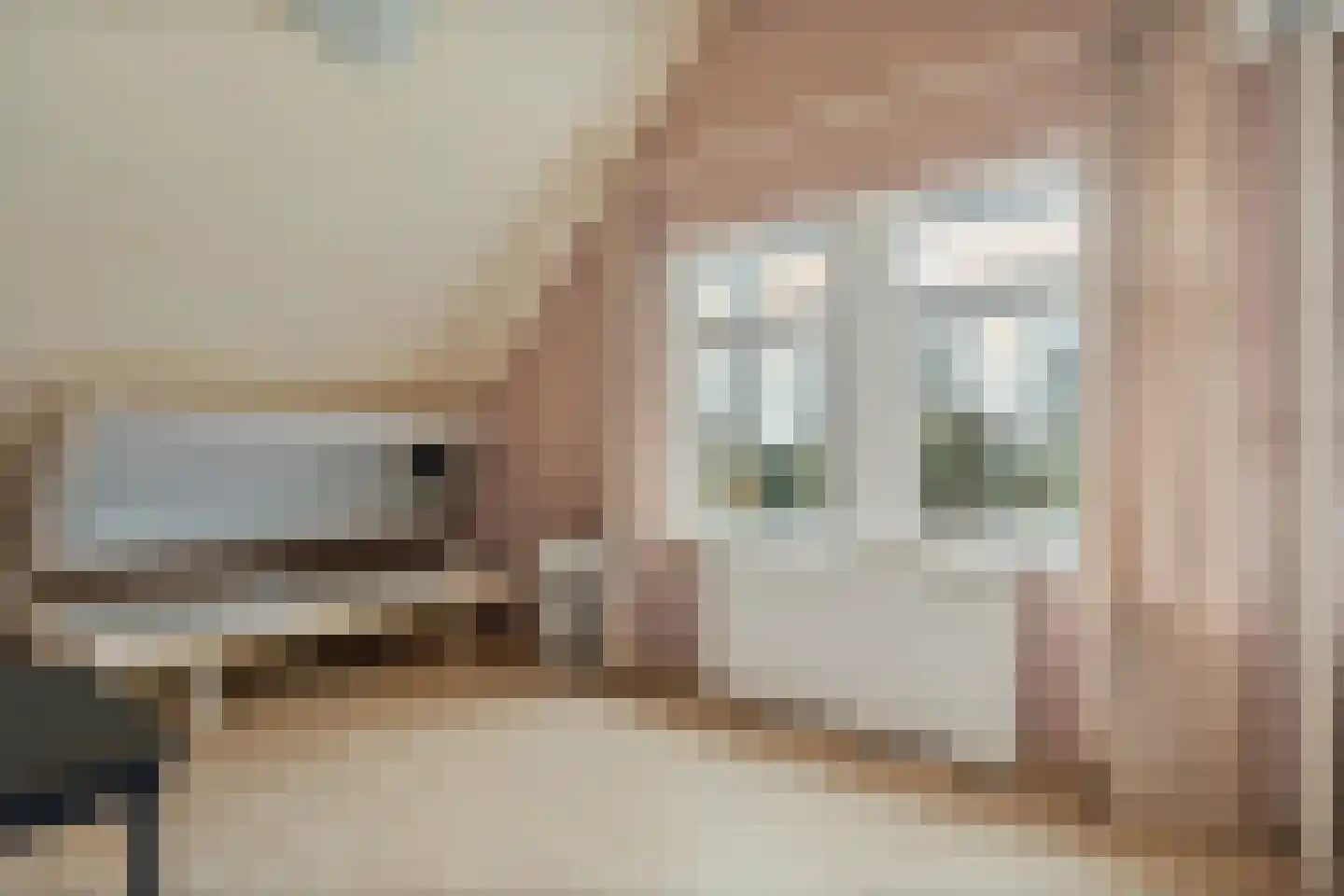 Koppelwijk OZ 10 Emmer-Compascuum thumbnail 29