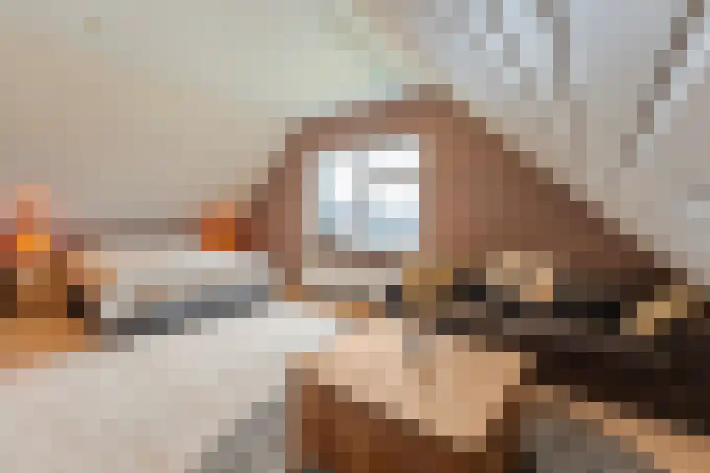 Koppelwijk OZ 10 Emmer-Compascuum thumbnail 34