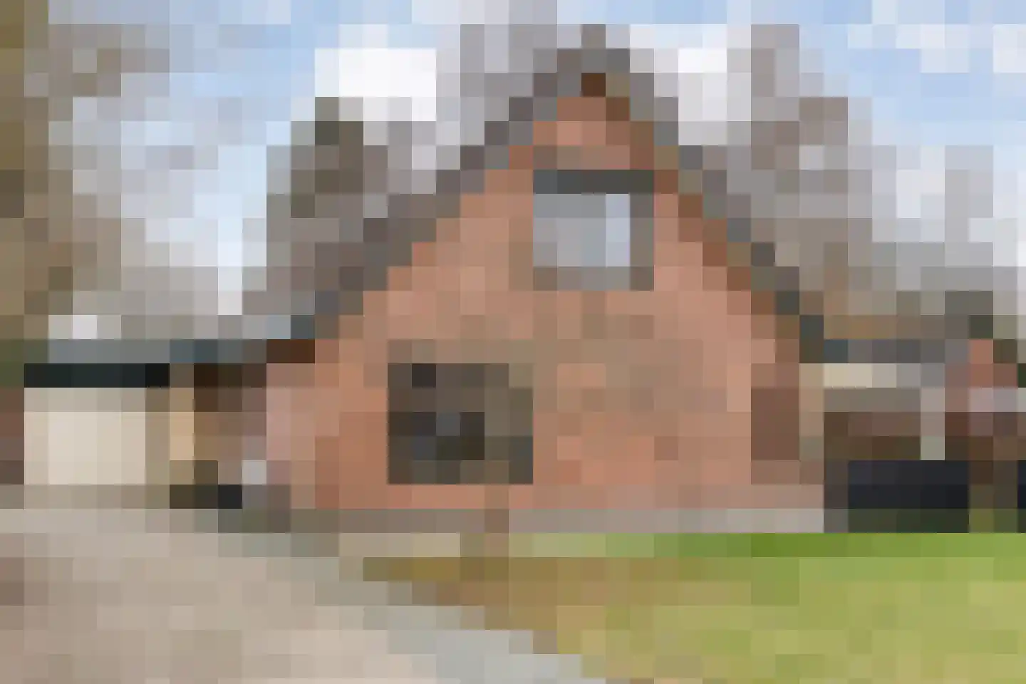 Koppelwijk OZ 10 Emmer-Compascuum thumbnail 4