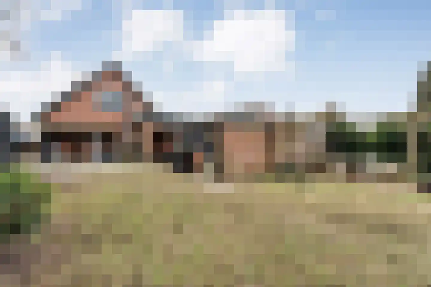 Koppelwijk OZ 10 Emmer-Compascuum thumbnail 41
