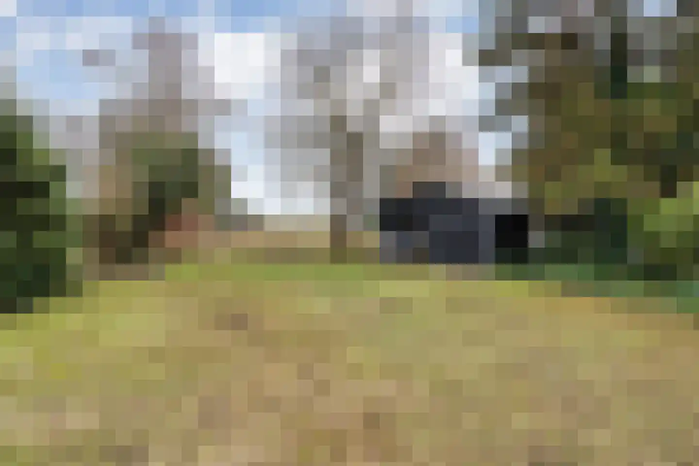 Koppelwijk OZ 10 Emmer-Compascuum thumbnail 42