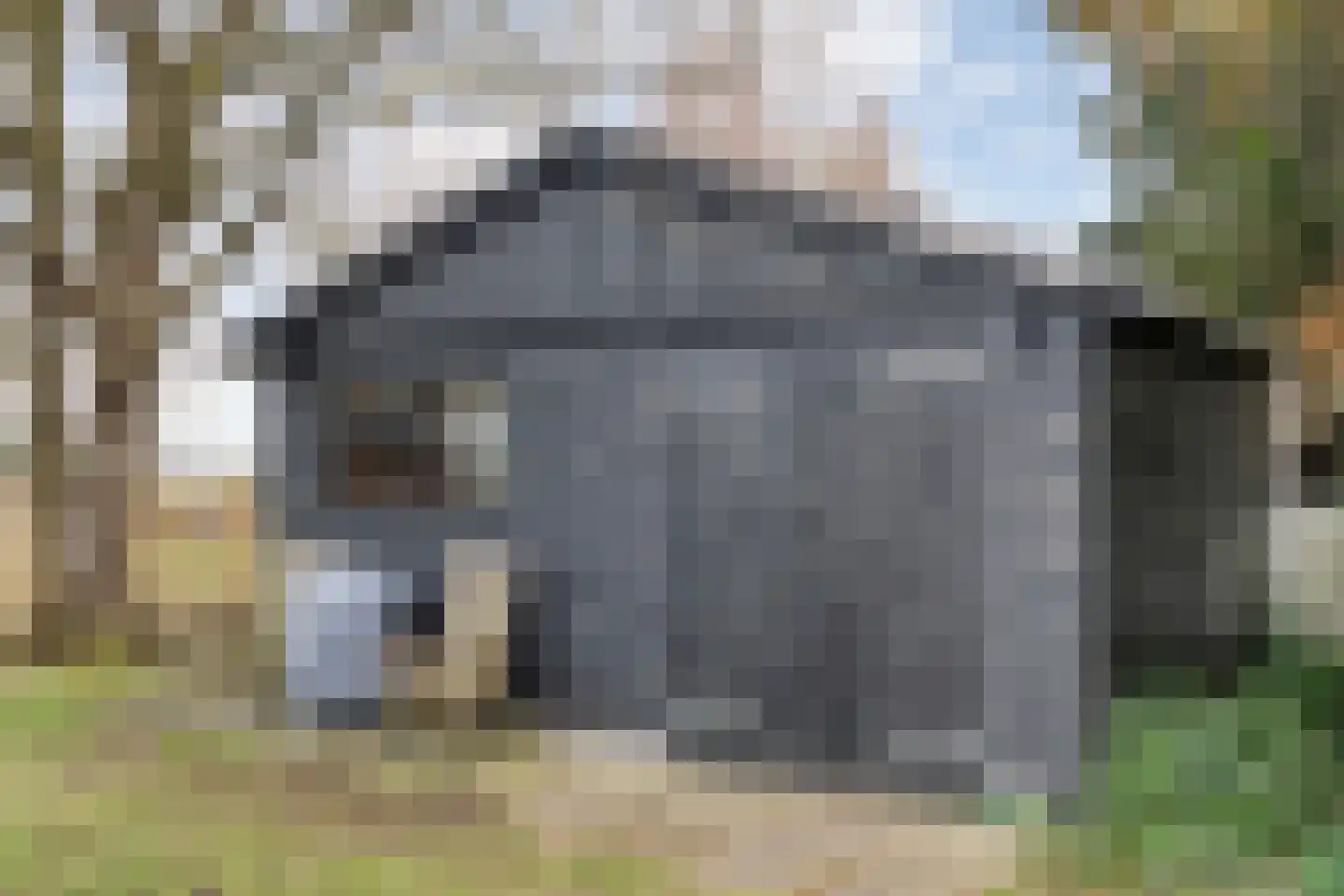 Koppelwijk OZ 10 Emmer-Compascuum thumbnail 43