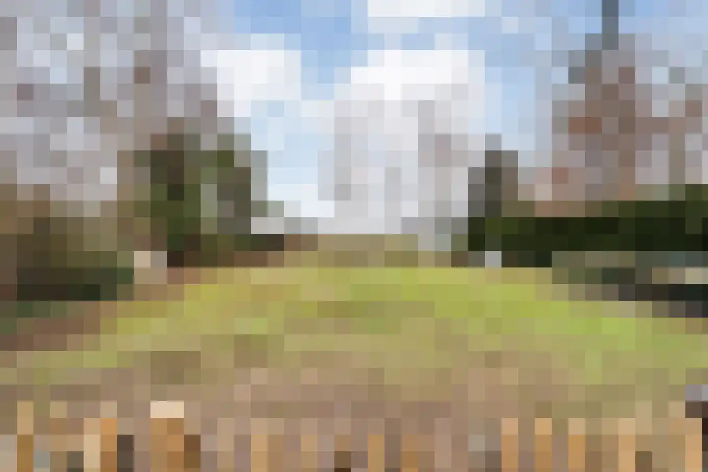 Koppelwijk OZ 10 Emmer-Compascuum thumbnail 47