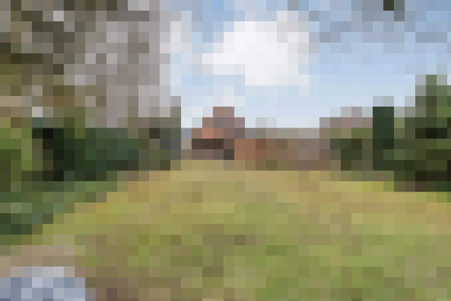 Koppelwijk OZ 10 Emmer-Compascuum thumbnail 48
