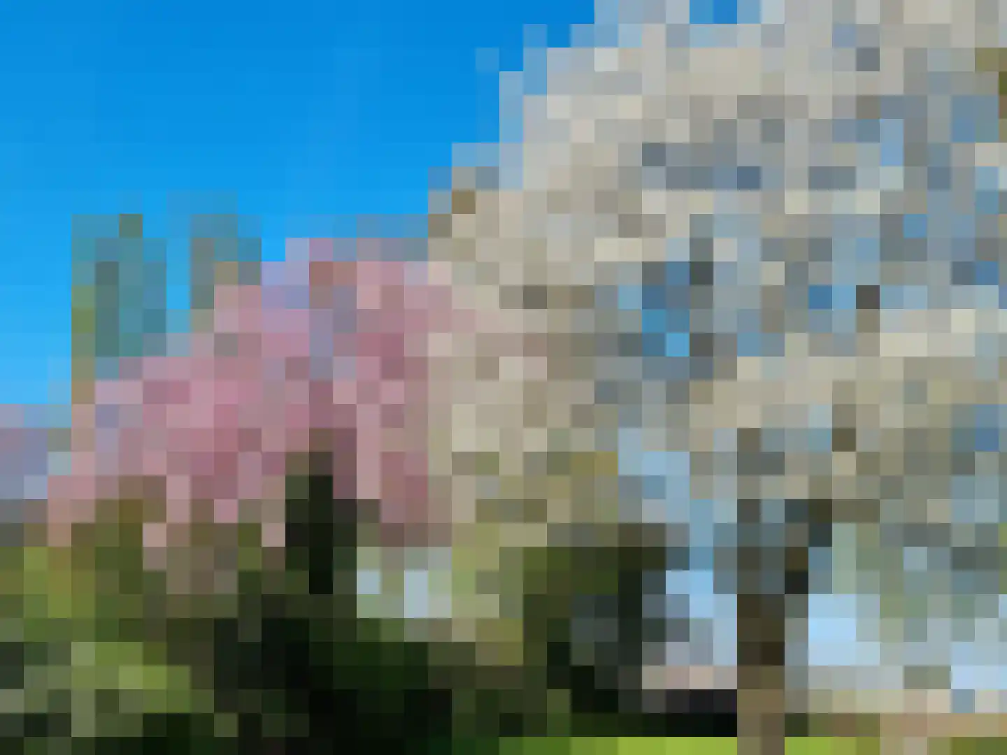 Koppelwijk OZ 10 Emmer-Compascuum thumbnail 49