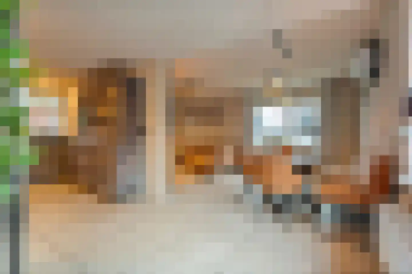 Koppelwijk OZ 10 Emmer-Compascuum thumbnail 5