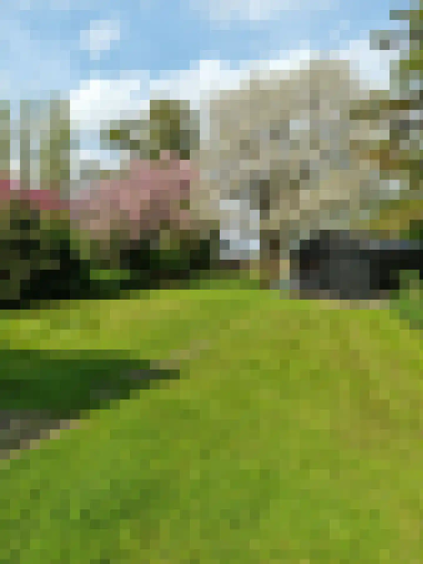 Koppelwijk OZ 10 Emmer-Compascuum thumbnail 50