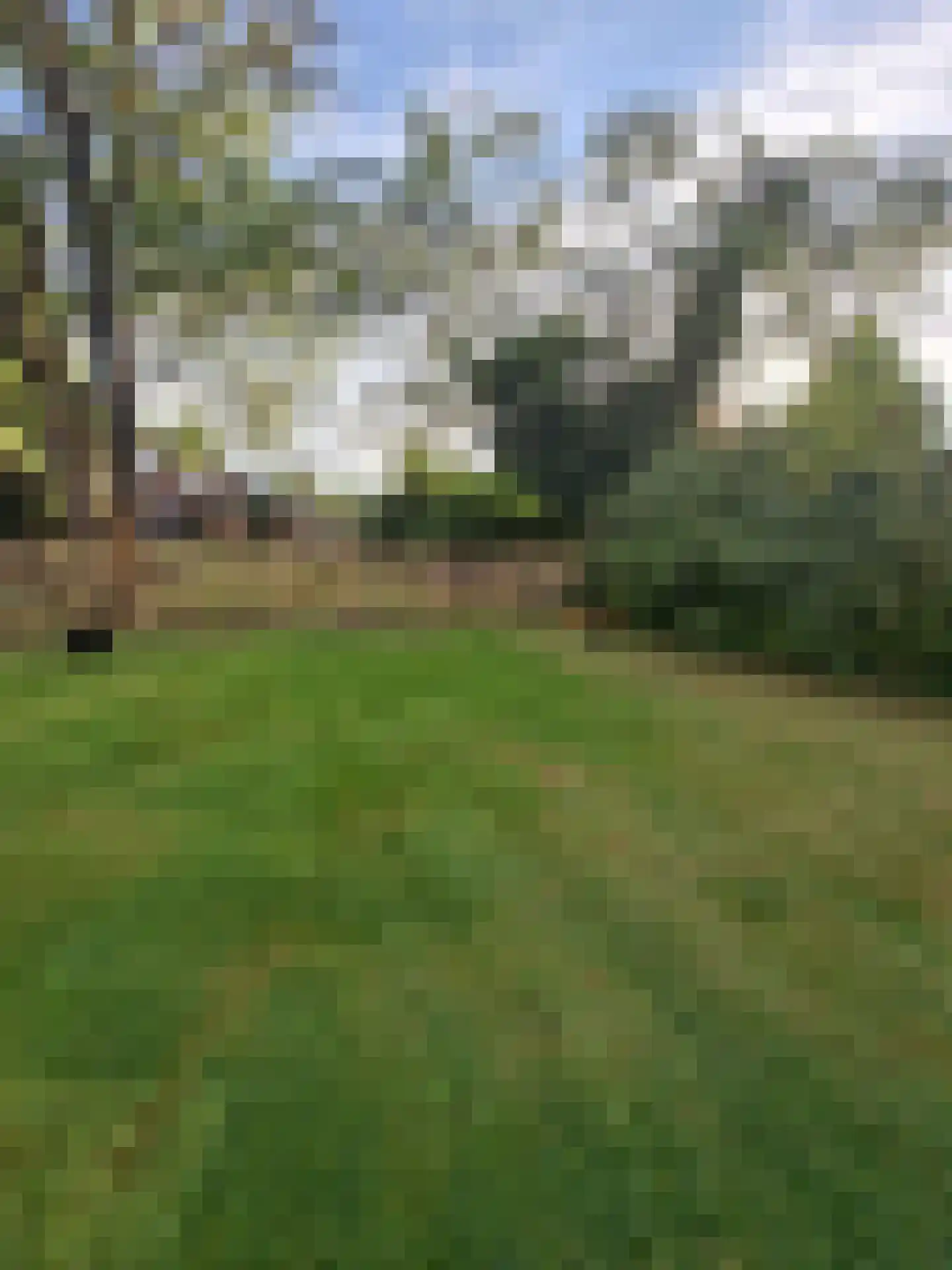 Koppelwijk OZ 10 Emmer-Compascuum thumbnail 51