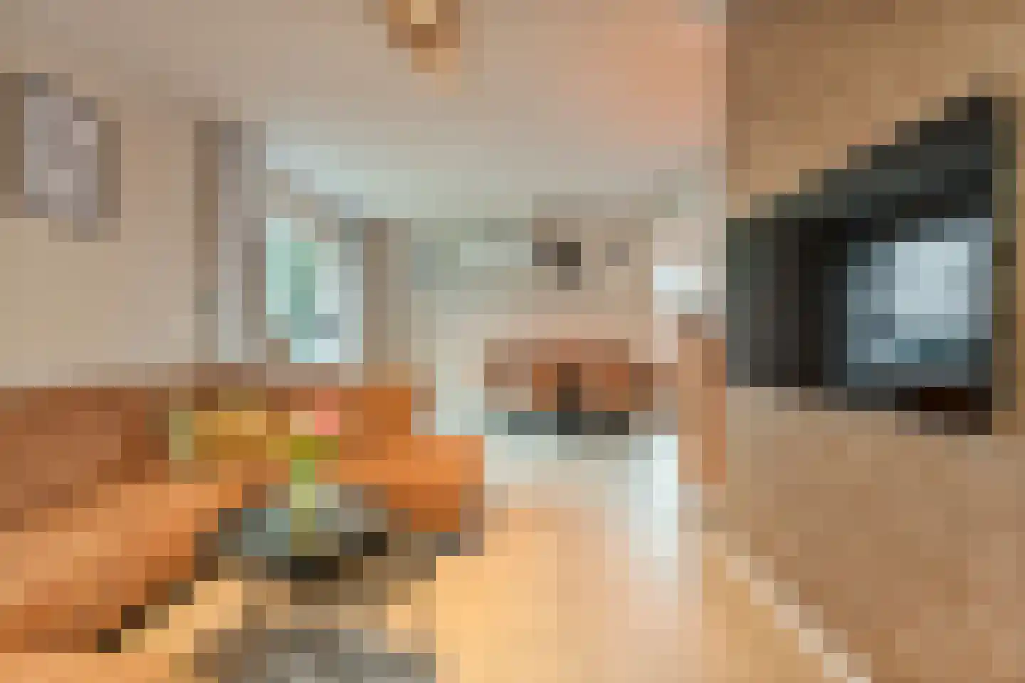 Koppelwijk OZ 10 Emmer-Compascuum thumbnail 8