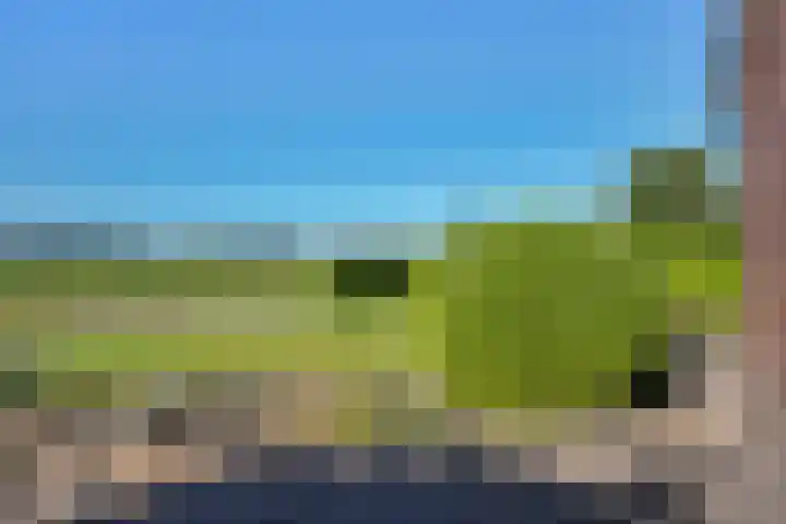 Koppelwijk OZ 18 Emmer-Compascuum thumbnail 20